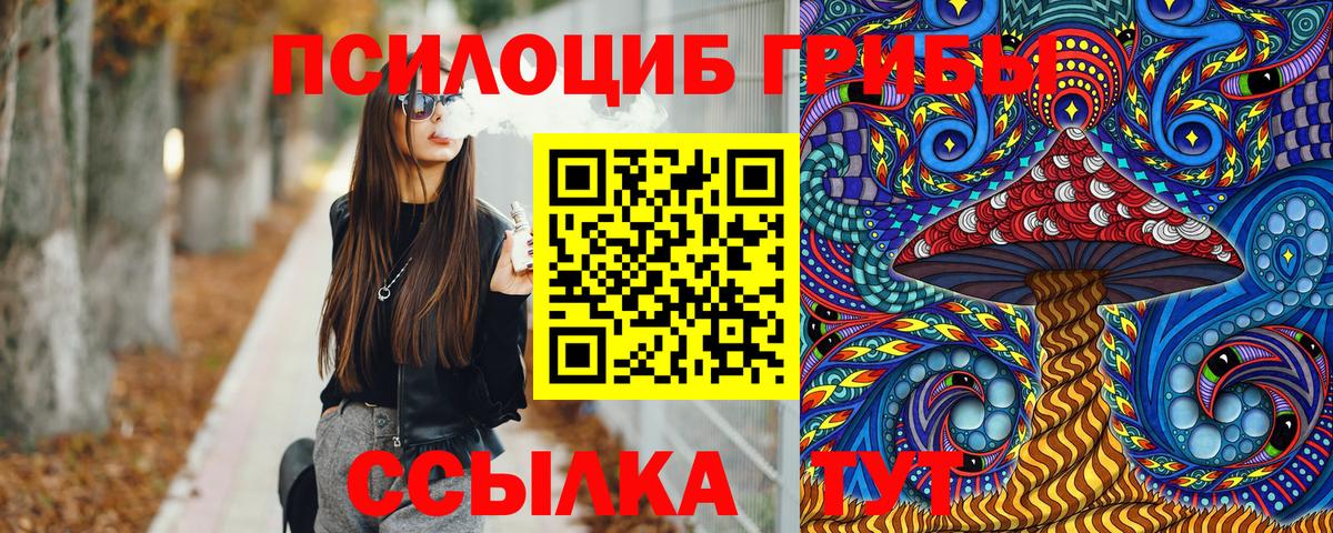 Усть-Илимск  Псилоцибиновые грибы Psilocybe  Вход с VPN  Галлюциногенные грибы Psilocybe 