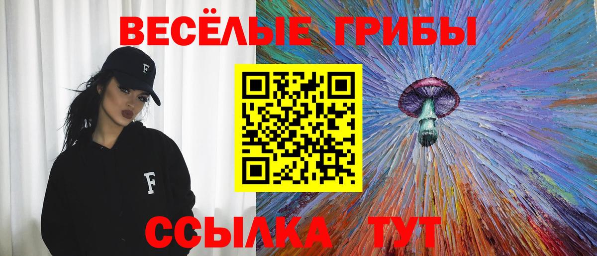Галлюциногенные грибы GOLDEN TEACHER Усть-Илимск